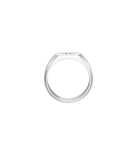 Lade das Bild in den Galerie-Viewer, PEAGF0033503_03