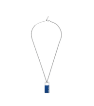 Cargar imagen en el visor de la galería, PEAGN0032902_01