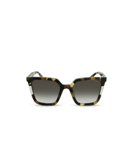 Lade das Bild in den Galerie-Viewer, SPLD33 540728_01