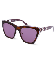 画像をギャラリービューアに読み込む, SPLL36 540993_02