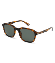 Cargar imagen en el visor de la galería, SPLL81 53836Y_02