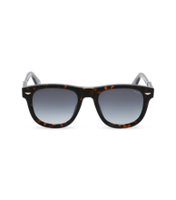 画像をギャラリービューアに読み込む, SPLL87 5206E4_01